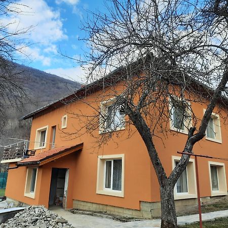 Guest House Lazar Raykov รีบาริตซา ภายนอก รูปภาพ