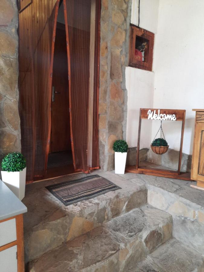 Guest House Lazar Raykov รีบาริตซา ภายนอก รูปภาพ