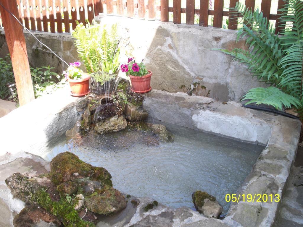 Guest House Lazar Raykov รีบาริตซา ภายนอก รูปภาพ